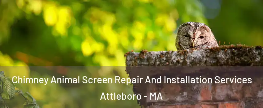  Chimney Animal Screen Repair And Installation Services Attleboro - MA