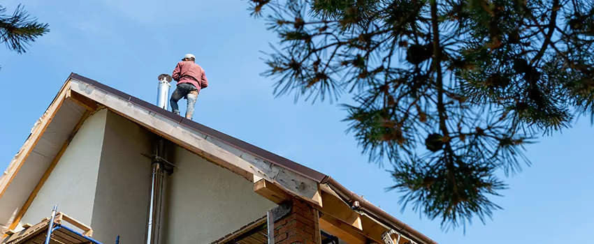 Birds Removal Contractors from Chimney in Attleboro, MA