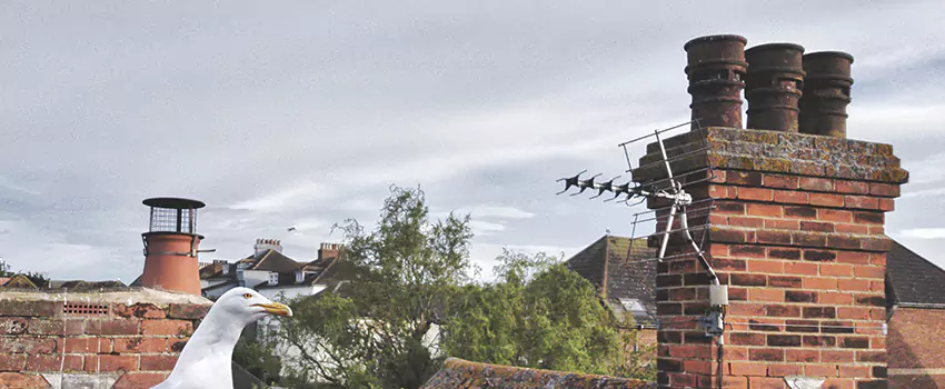Chimney Cleaning And Restoration in Attleboro, Massachusetts
